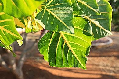 腾讯2023游戏之夜3月28举行 《无畏契约》国服要来了